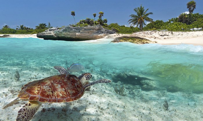 Ofertas Turísticas, CANCUN Y RIVIERA MAYA - 14 NOCHES CON VUELO DIRECTO Ofertas Turísticas, CANCUN Y RIVIERA MAYA - 14 NOCHES CON VUELO DIRECTO