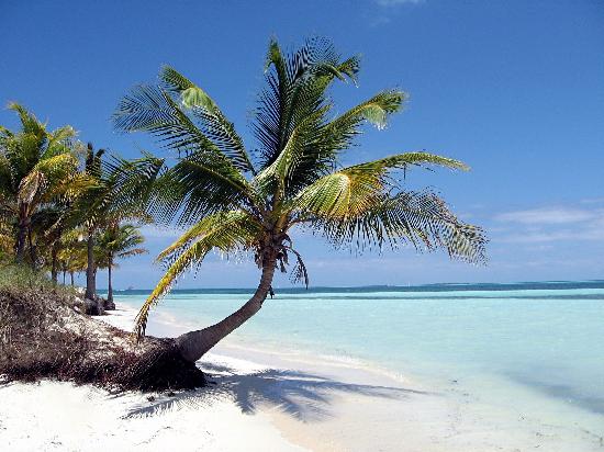 Ofertas Turísticas, CAYO COCO Y VARADERO - ENERO Ofertas Turísticas, CAYO COCO Y VARADERO - ENERO