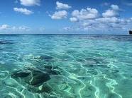 PAQUETES TURISTICOS BAHAMAS - AGOSTO / SEPTIEMBRE - CARIBE