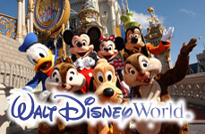 Visit&aacute; Disney World
