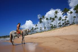 PAQUETES TURISTICOS CAMBORIU - BRASIL
