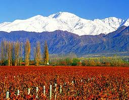 PAQUETES TURISTICOS MENDOZA - SAN RAFAEL - ARGENTINA