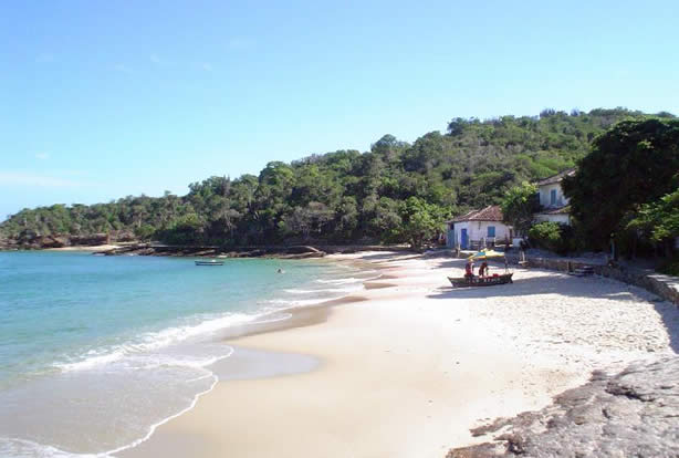 PAQUETES TURISTICOS FERRUGEM BUS - BRASIL