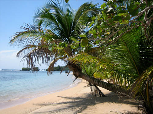 PAQUETES TURISTICOS RIVIERA MAYA // PRE COMPRA - CARIBE