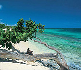 PAQUETES TURISTICOS FIESTA DE SOLTEROS EN PUNTA CANA - CARIBE