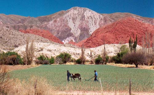PAQUETES TURISTICOS VUELTA AL NORTE EN AEREO - ARGENTINA