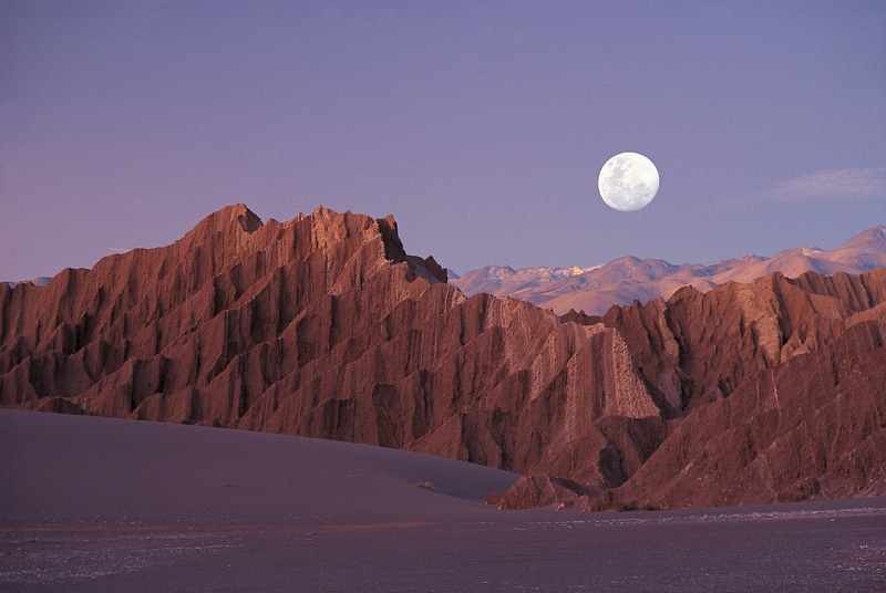ARGENTINA - RUTA DE LOS DINOSAURIOS